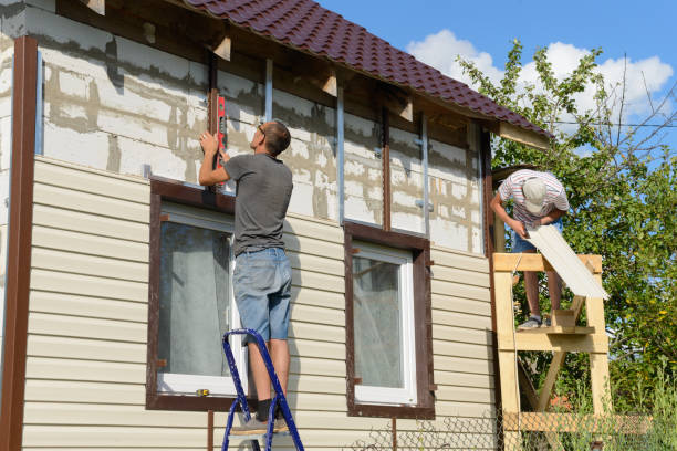 Reliable Pine Level, AL Siding Installation & Repair Solutions
