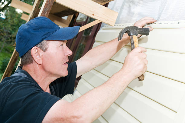 Best Steel Siding Installation  in Pine Level, AL