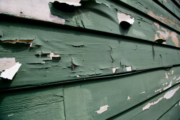 Affordable siding repair and maintenance services in Pine Level, AL
