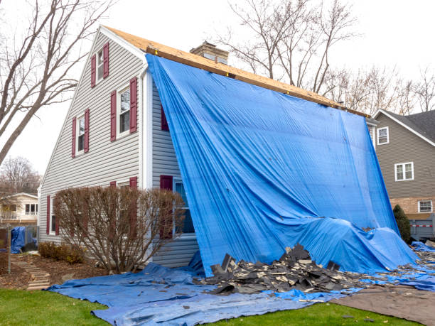 Best Wood Siding Installation  in Pine Level, AL