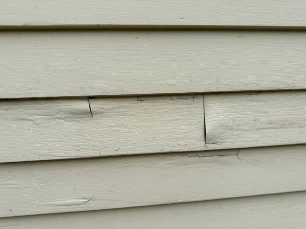 Best Custom Siding Design  in Pine Level, AL